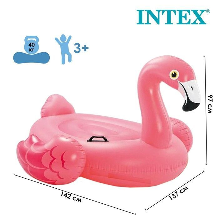57558 -İNTEX 142 cm Lüx Jumbo Flemingo